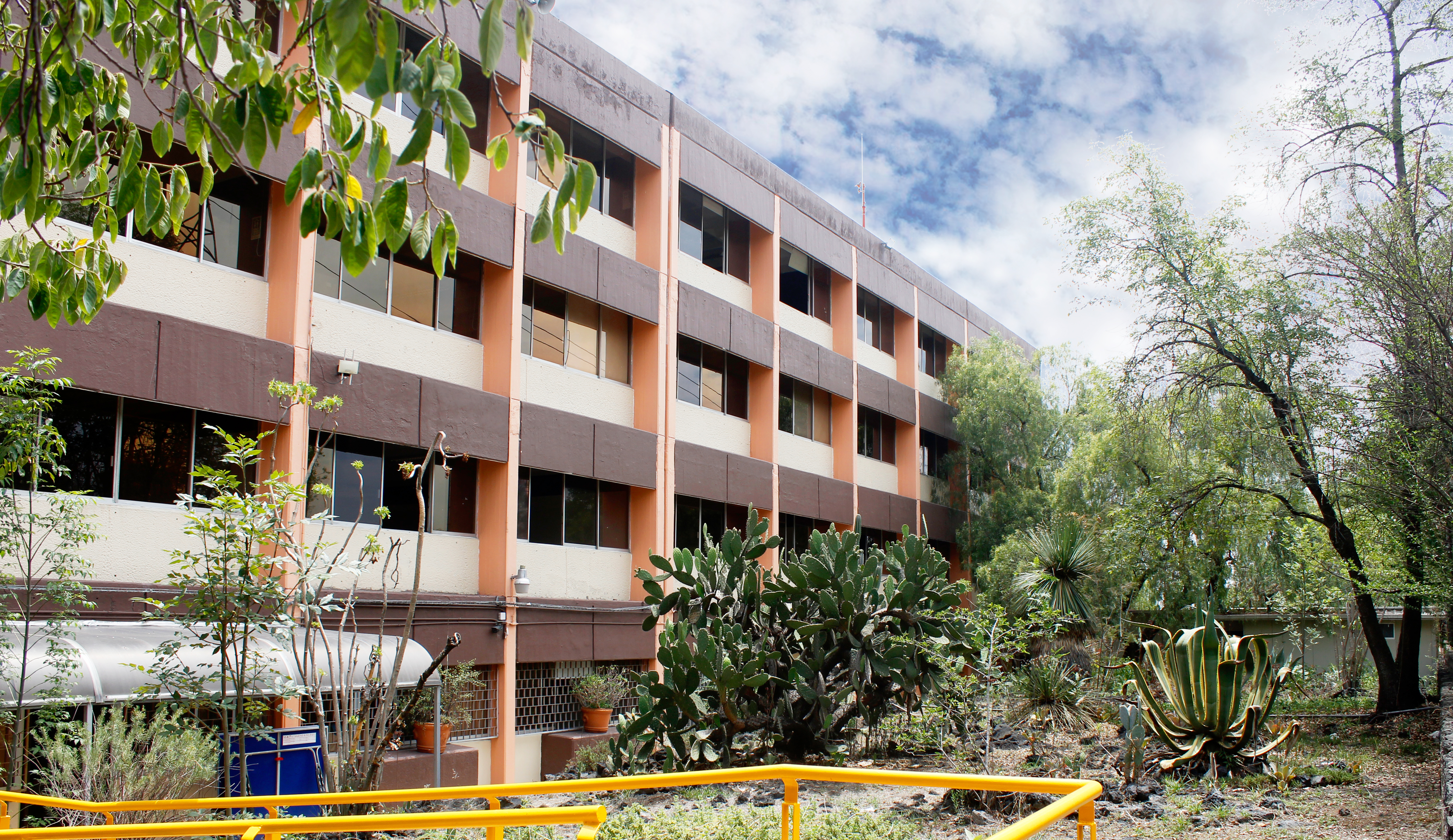 Facultad de Psicología UNAM